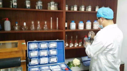 廣州農(nóng)副產(chǎn)品批發(fā)市場(chǎng) 蔬菜配送服務(wù)助力酒店、學(xué)校與工廠需求