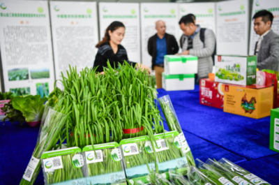 大灣區“菜籃子”產品清遠配送中心開業，農副產品“一站式”服務助力區域融合