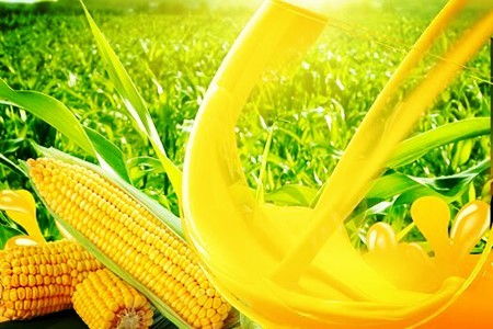 吉林農(nóng)副食品加工公司57.136%股權(quán)轉(zhuǎn)讓 行業(yè)機(jī)遇與挑戰(zhàn)并存